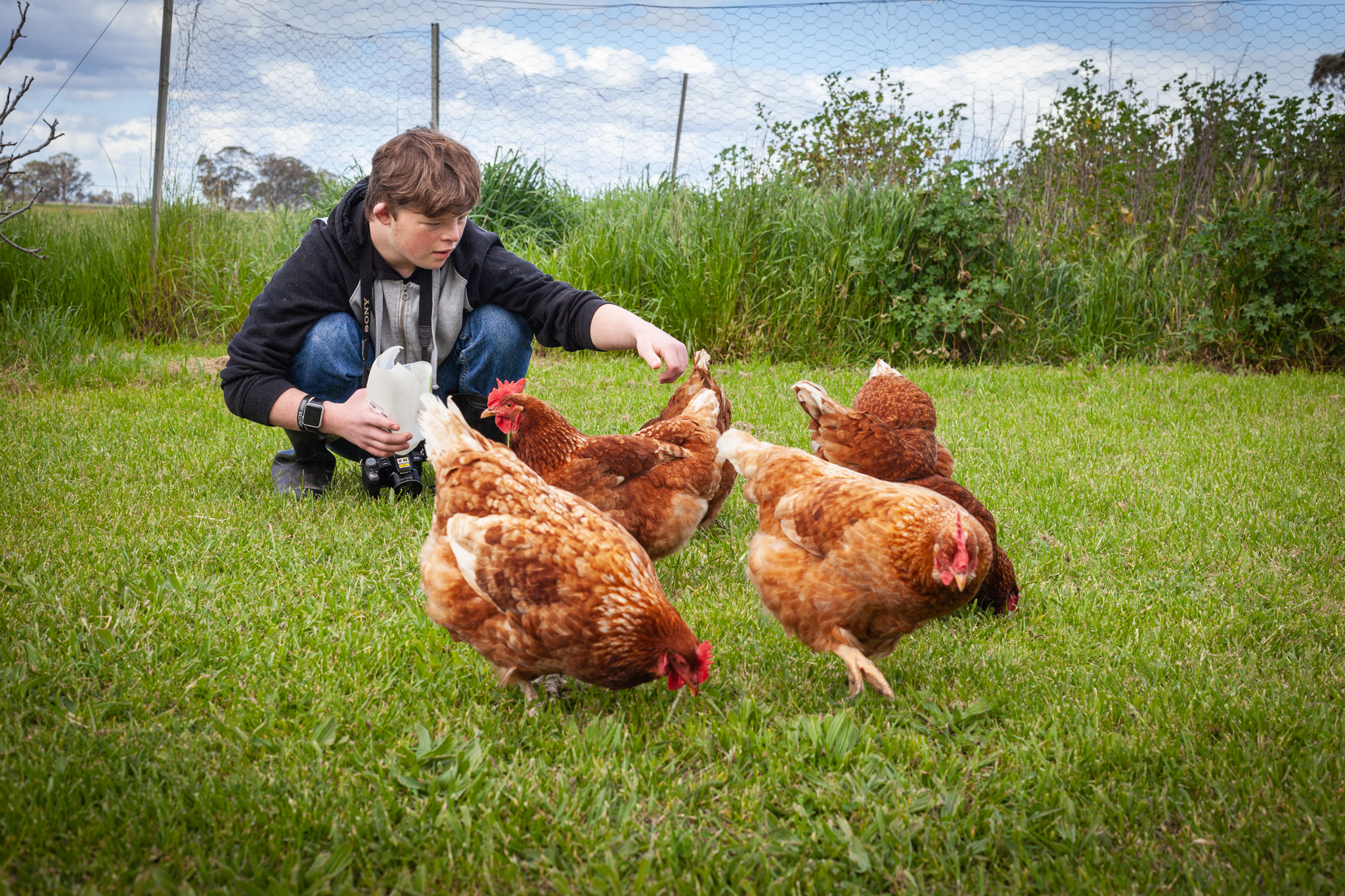 A photo of a boy with Down Syndrome feeding the chickens